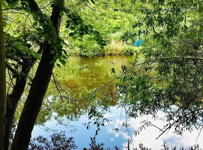 Naabsuite * Neustadt an der Waldnaab